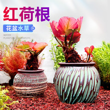 �t�ɸ��~���쾰�к�ˮ���~�r���˯ɏ���ֲ�ﵭˮ���w��ɏ����