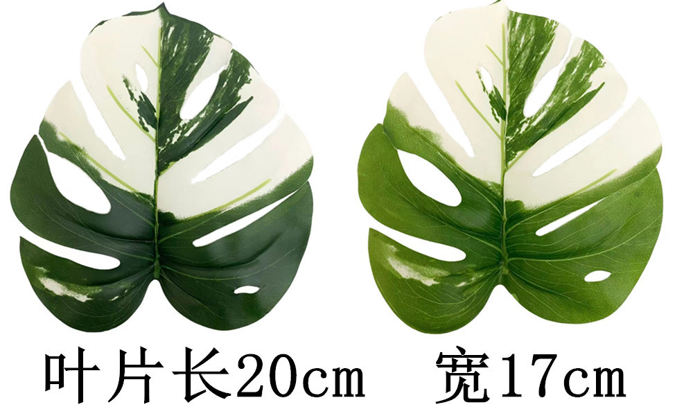 未命名_副本