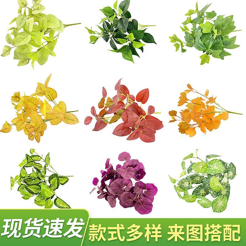 Flower potted plants, balcony ceiling, rattan green plants, indoor living room, desktop bonsai ornaments