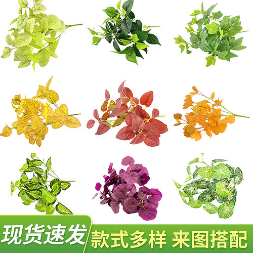 Flower potted plants, balcony ceiling, rattan green plants, indoor living room, desktop bonsai ornaments