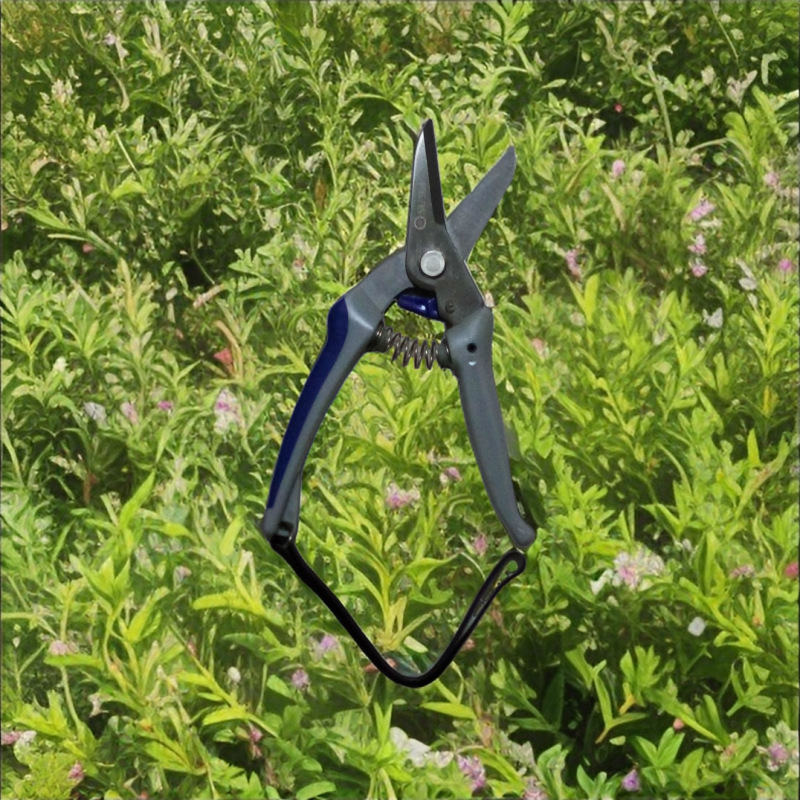 厂家直销高质量园林剪修枝剪树枝剪果枝剪摘果剪   欢迎选购