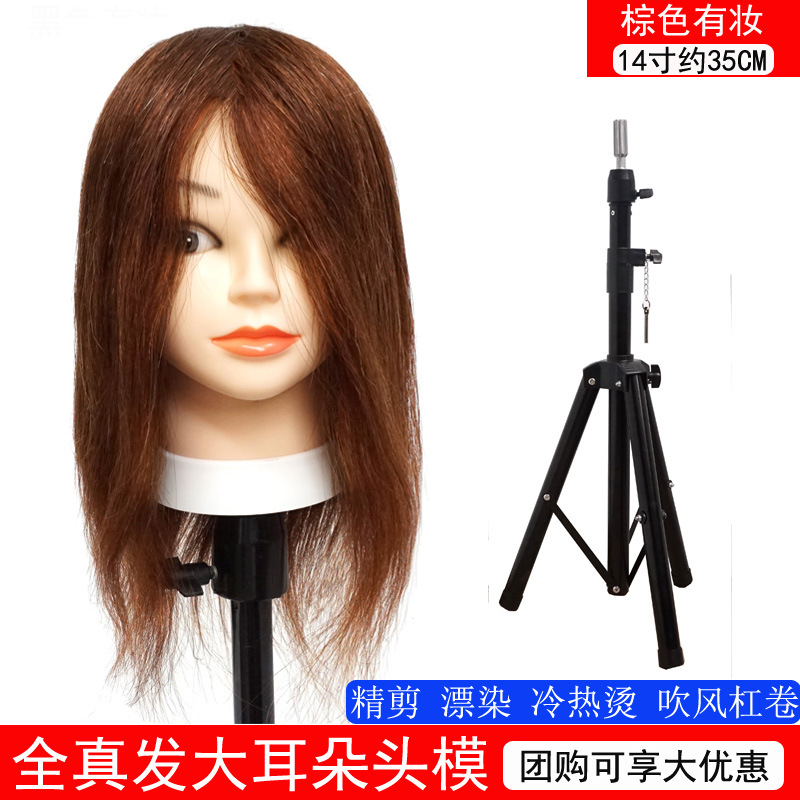 Todo cabello real 14 pulgadas marrón + soporte de piso grande