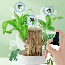 ����ľ�I�BҺˮ��ֲ������\ľ��ѿ���S�_��������������ϡጷ�