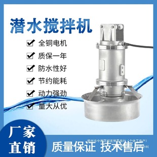 Submersible Stainless Steel B Mixed Silent Mixed Flow Pump Sewage Manufacturer Direct Sales Cast Iron High Speed Qj Flow Pusher Leidezhu