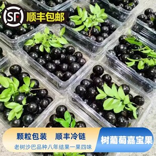 ��S�Ό����r���r������ˮ����Ҋ������䮔��ɳ�ͼΌ���������l