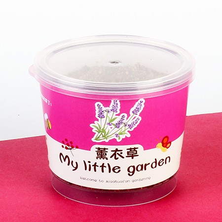 Niños plantan pequeños jardines de infantes fresas plantas de mesa mini caja ciega diy verde juguetes puestos al por mayor image 23