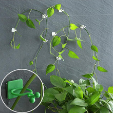 �G�}�̶�������ֲ��Gֲ�������������h늾��̶����������͹̶��A