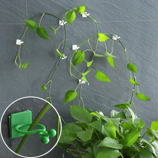 �G�}�̶�������ֲ��Gֲ�������������h늾��̶����������͹̶��A