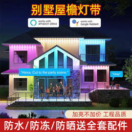 跨境爆款户外屋檐灯智能蓝牙WIFI防水幻彩庭院RGB智能户外屋檐灯