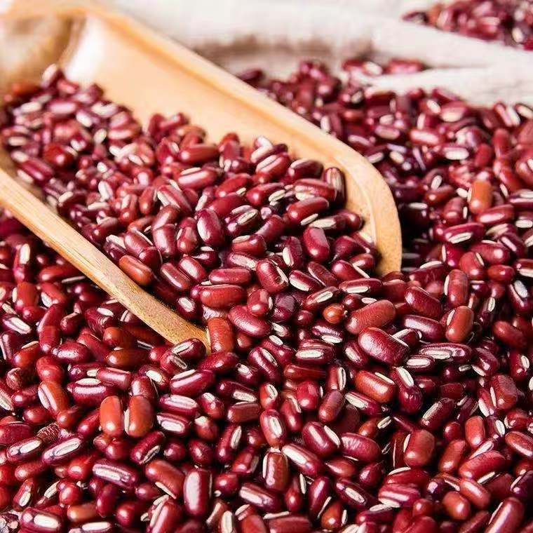 Adzuki Bean Chi Xiao Dou 250g Canister Dried Red Beans for Congee Soup and Sweet Bean Paste specifications