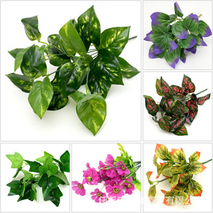 �������ֲ���ƺ������DIY�b��~��С�������ϼپGֲ���ʹ�˹