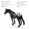 PL127-2073 Appaloze Stallion 6G
