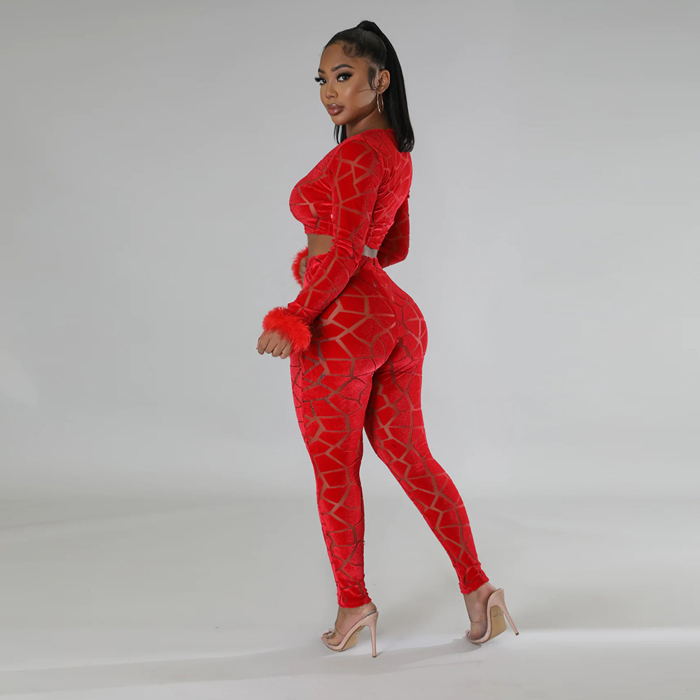 Îmbrăcăminte pentru femei, top scurt cu mânecă lungă și pantaloni slim creion, set la modă din două piese_voghion.com