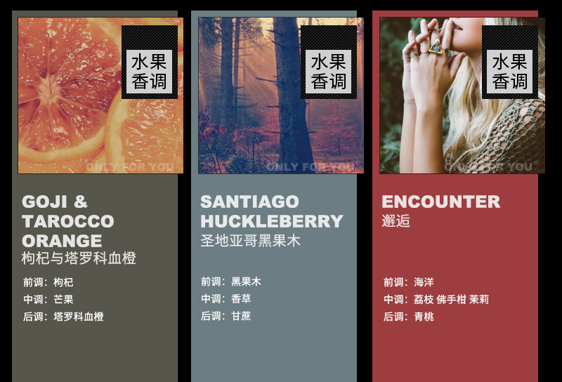 香味描述-竖长_05.jpg
