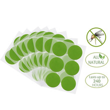 һ���԰���ֲ�ﾫ������N �����x��ҧ �ļ����Ñ��⃺ͯ�냺��ɫ