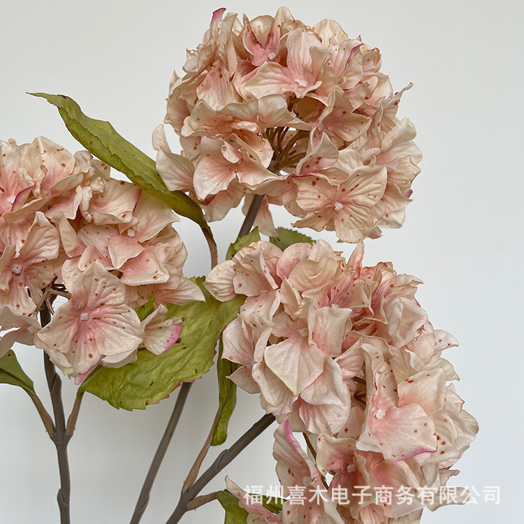 photo-output_6 7.JPG