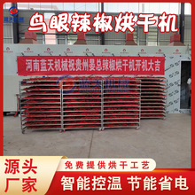 鸟眼辣椒烘干机 缅甸小雀椒泰国辣椒烘干房 小米椒指天椒烘干设备