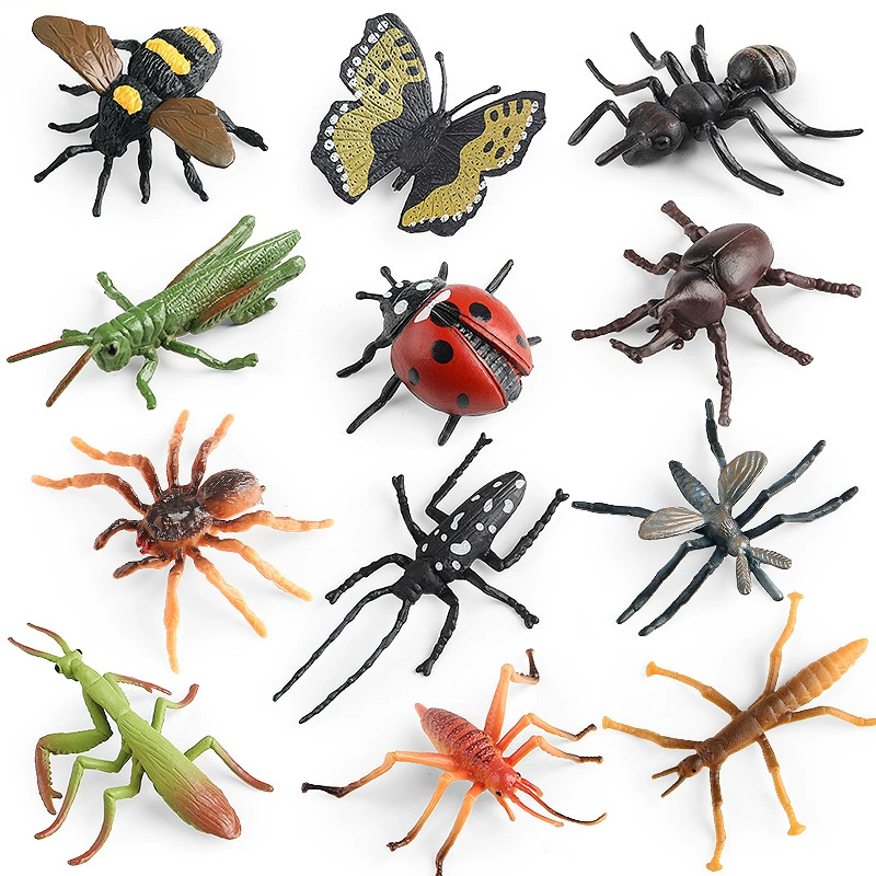Cognitive animal model with butterfly, spider, praying mantis, bee