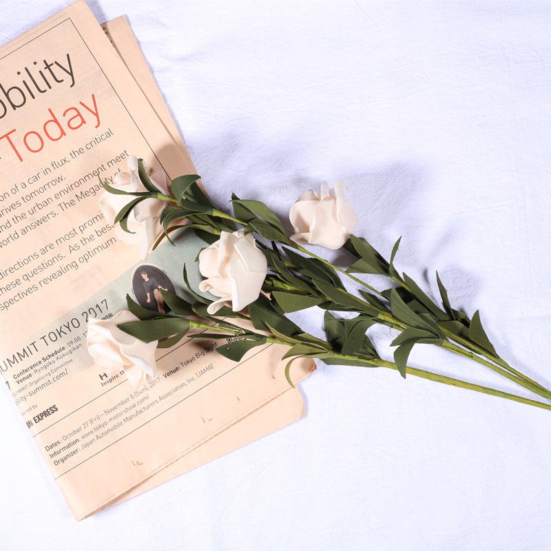 레트로 화이트 로즈—0x0cm