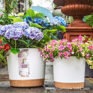 Universal Anthony Flower Pot European Style Flower Pot Plastic Resin Thickened Planting Pot Rose Pot International Pot Gallon Pot
