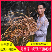 ��ָë�Ҹ���Ұ���o��500g������ţ�����V�|�Ҝ������ݾ��ԕ���؛