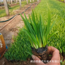 Sβm {Sβ ϻ{Ի ֲGֲmͥԺ