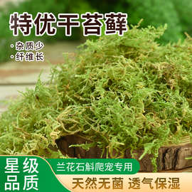 干苔藓水苔青苔兰花蝴蝶兰石斛种植营养土爬宠乌龟垫材