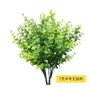 ������̖7���ȼ����Gֲ���ϻ����Ƶ�Ҿ��b�ˮ�ݽ��X�~���Q�S��