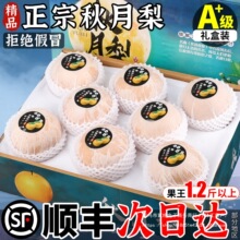 顺丰礼盒秋月梨莱阳新鲜水果山东梨应季当季孕妇整箱限定