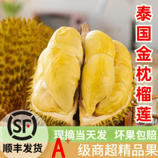 ��S����̩��������ɏA�����rˮ��������ɏ����ܛŴ���������r��