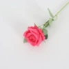 Silk cloth rose red