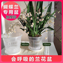 &there4;�ظ���������m�U��͸�������辰ʯ���m�������m���ϾW�Nֲ