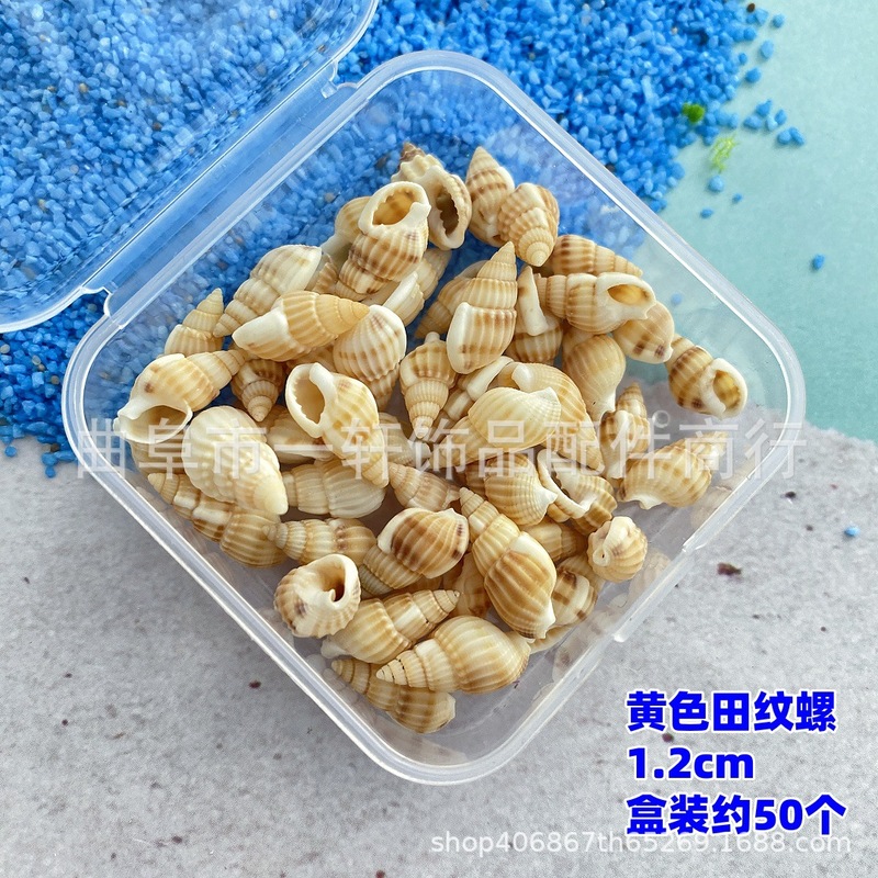 天然小さな巻貝箱入り小さなヒトデ小さな貝殻ミニ diy マイクロ風景材料装飾ミニ貝殻箱入り|undefined