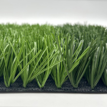 IxƺװbͳɱԃrȲƺ̺Lݿ