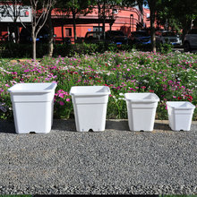 �S�һ������l�̨�Nֲ���҃Ȼ��跽�μӁ����ɫ�������ϼӁ���