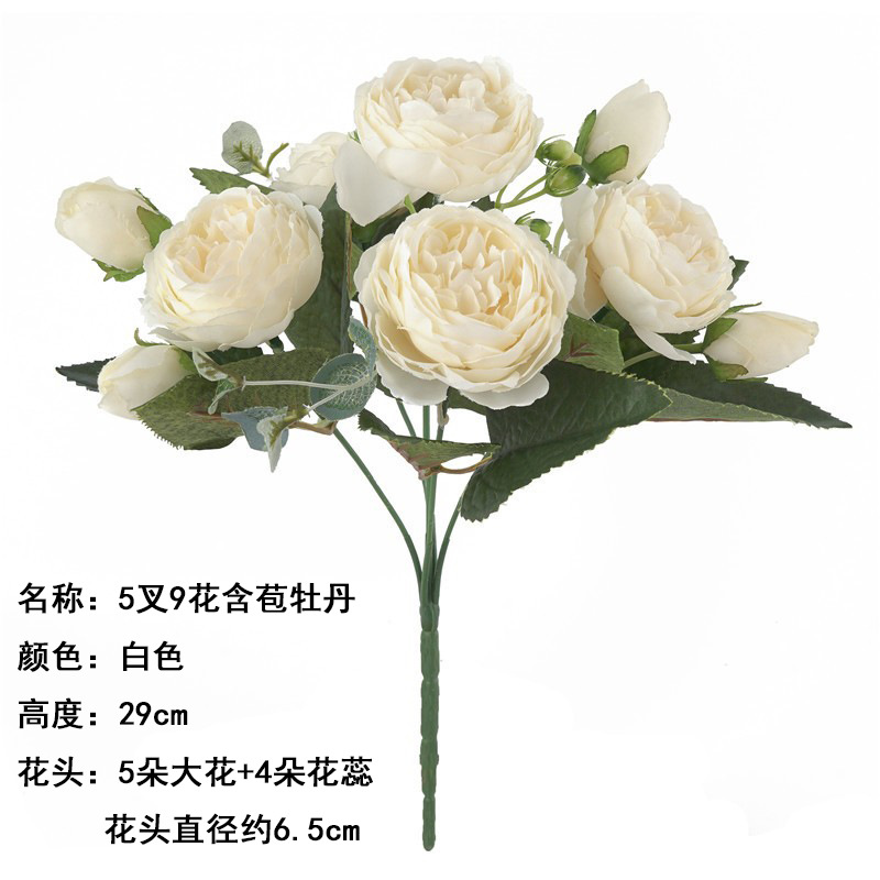 5 갈래 새싹 모란 화이트