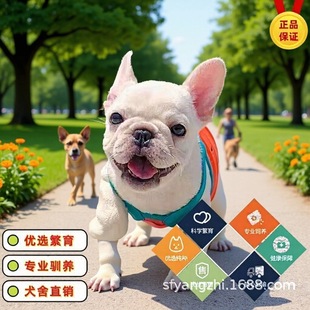 ���w���N������Ȯ���N������ţȮ���w�{ţ�������Ͷ�ţȮ��ëС��