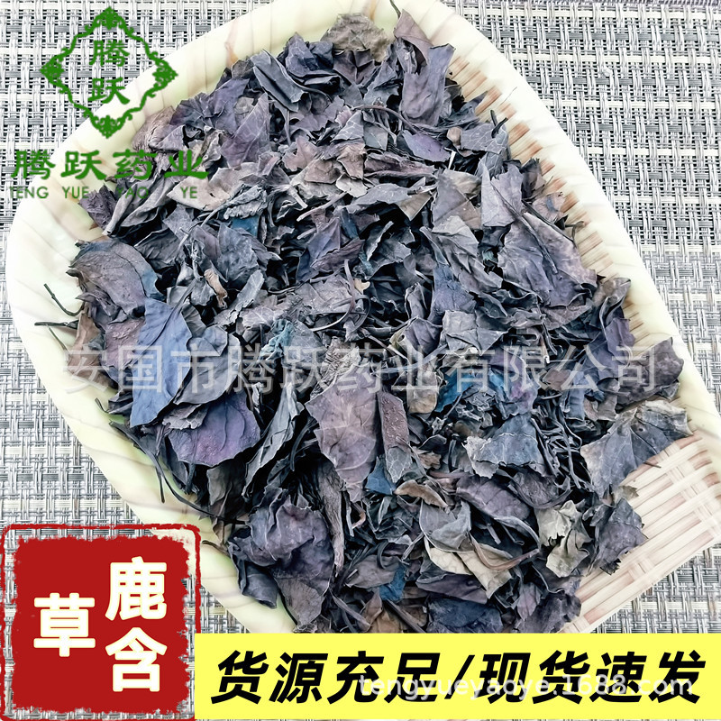 Dried Pyrola Herb Lu Xian Cao Whole Plant Traditional Chinese Herbal Tea 500g Bag overview