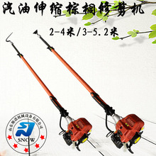 2-4����s���L�U�ؙ��޼��C Ҭ�Ә���֦���� �@�ֈ@ˇ��s��֦�