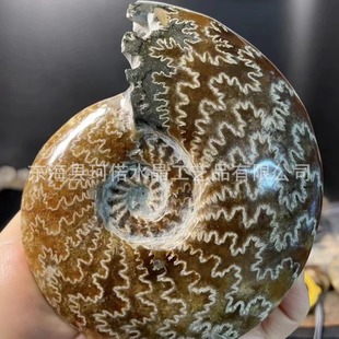 �R�_��˹����Ȼ�߲��ݻ�ʯ�D�\�ݾ�ʯ���� �����ﻯʯ�˱�ԭʯ