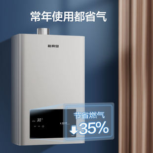 Wanhe 16L Gas Water Heater Household Natural Gas 12L Water Heater Household Bath Constant Temperature Strong Exhaust Anti-Freeze
