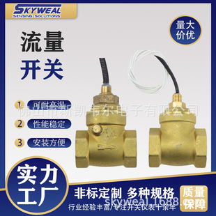 Skywell flow switch manufacturer Baffle type flow switch Flow switch for short circuit overload protection