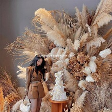 �JȔ�ɻ��滨��c�͏d�[�O�W�t��Ȕ������Ȼ����҃Ȕ[��