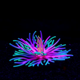 造景/装饰;水族箱;日用橡胶