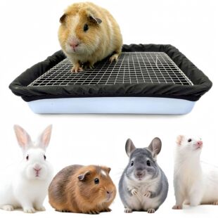 ����؈ɰ���r�|���؏ͷ�ˮ�r�| ����ѩ���q��ͨ�ñ�������бP