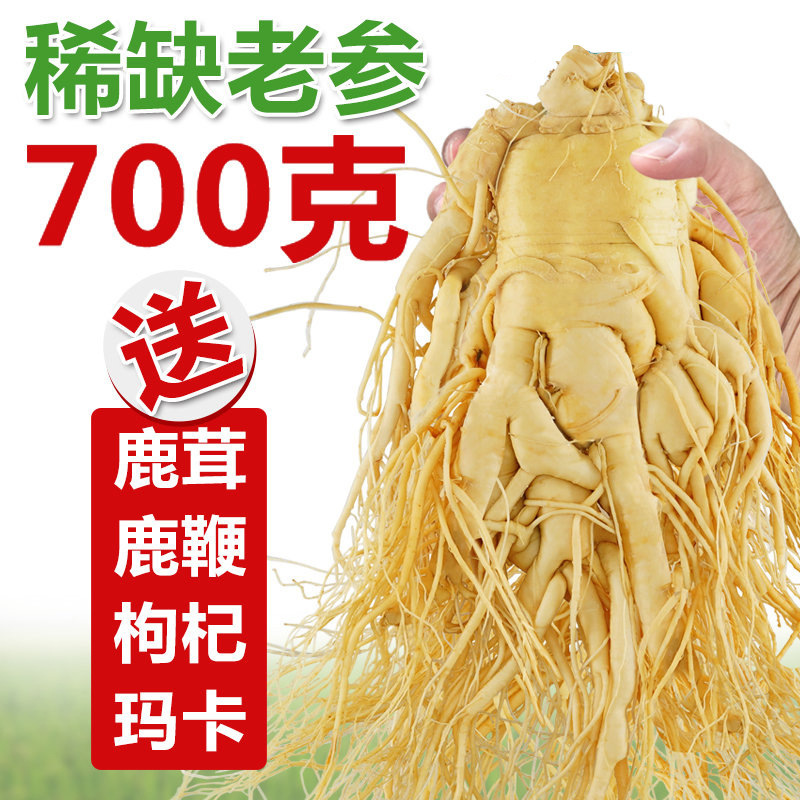 長白山人参鮮度保持参特大参泡酒煮湯滋補専用東北特産生参|undefined