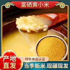 一級黄雑穀 セレン豊富 晋谷21号 2024年新黄雑穀 山西新米粥 食用もち雑穀