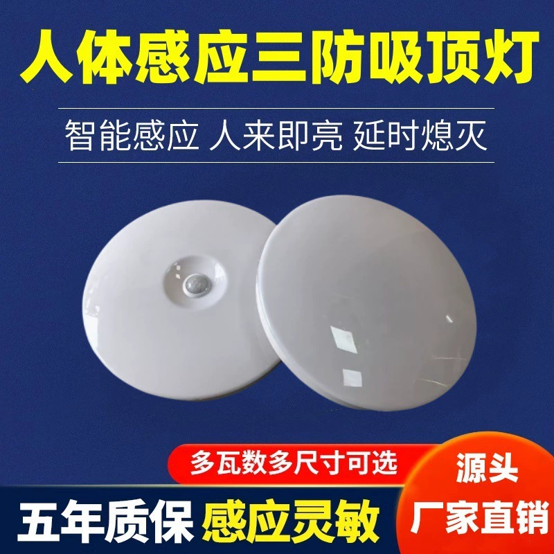 LED-индукционная физиологическая потолочная лампа для лестниц, коридора, датчик движения