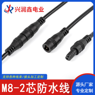 Source Factory M8-2 Core Waterproof Cable 0.3 Square Waterproof Connector Male and Female  Cable Ip67