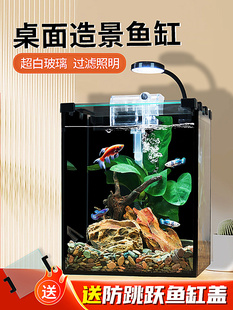 Desktop Betta Fish Tank, No Water Change Needed, Ultra-Clear Fish Tank for Living Room, Small Home Office, Eco-Friendly Lazy Mini Aquatic Plant Tank